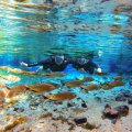  INVERNO EM BONITO. NASCENTE AZUL É O DESTINO CHIC DA VEZ