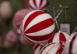 CELEBRA SHOW. MAIOR FEIRA DE FESTAS E EVENTOS DA AMÉRICA LATINA ABRE CREDENCIAMENTO