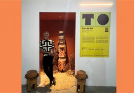 DO CERRADO TOCANTINENSE AO IBIRAPUERA