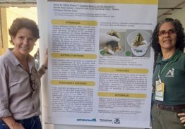 NATURATINS COMPARTILHA ESTUDOS SOBRE ANIMAIS DO CERRADO EM EVENTO NACIONAL DE CONSERVAÇÃO