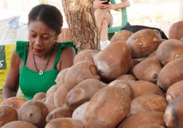  O OFÍCIO DAS QUEBRADEIRAS DE COCO BABAÇU É RECONHECIDO COMO MANIFESTAÇÃO DA CULTURA NACIONAL.