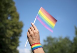 FORMULÁRIO ROGÉRIA. TRF1 CRIA FERRAMENTA PARA DIAGNOSTICAR RISCOS CONTRA A POPULAÇÃO LGBTQIA+