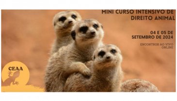 MINI CURSO INTENSIVO DE DIREITO ANIMAL