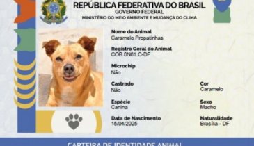 RG ANIMAL PARA CÃES E GATOS É GRATUITO 