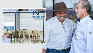 LOTE DE BEZERRAS DO CRIADOR SANDOVAL LOBO CARDOSO É RECORDE DE VENDAS NO LEILÃO FAZENDA DONA NINA