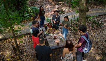 BELÉM EM EVIDÊNCIA: 11 EXPERIÊNCIAS EXCLUSIVAS PARA VIVER A AMAZÔNIA NA COP 30. O CENTRO DAS DISCUSSÕES GLOBAIS SOBRE O CLIMA