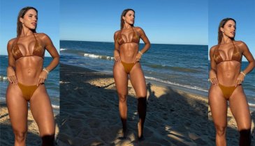 ELA USA. GRIFE ARAGUAINENSE