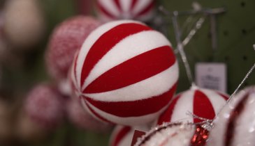 CELEBRA SHOW. MAIOR FEIRA DE FESTAS E EVENTOS DA AMÉRICA LATINA ABRE CREDENCIAMENTO