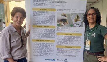 NATURATINS COMPARTILHA ESTUDOS SOBRE ANIMAIS DO CERRADO EM EVENTO NACIONAL DE CONSERVAÇÃO