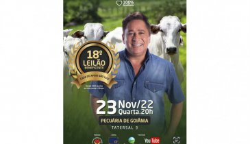 18º LEILÃO BENEFICENTE DA CASA DE APOIO SÃO LUIZ