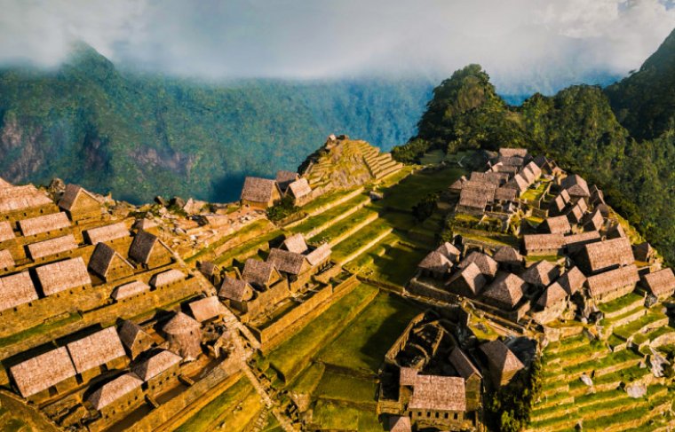 Experiência chega pela primeira vez ao Brasil em novembro Divulgação/Fever