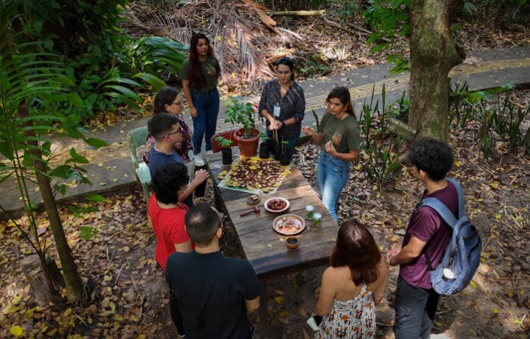  Divulgação Vivalá/Jucarepa