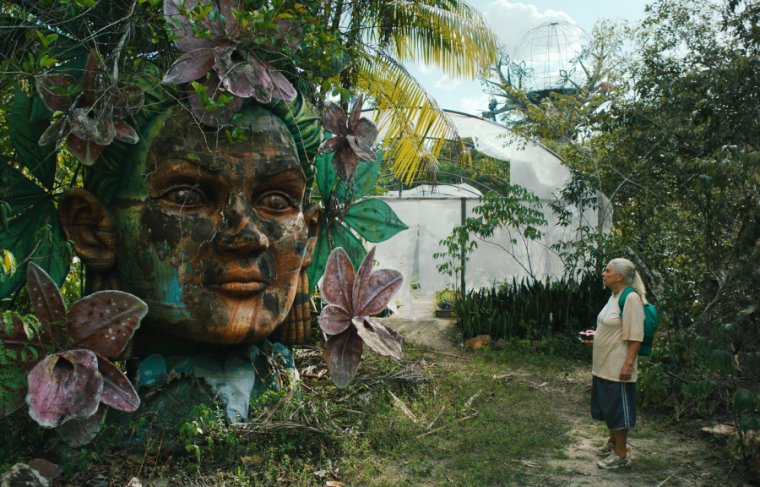 O Último Azul Divulgação