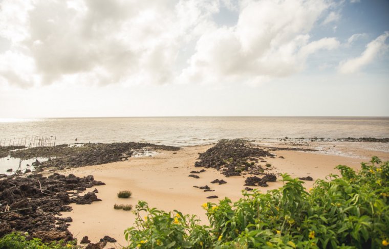 Salvaterra Bruna Brandão/ Mtur