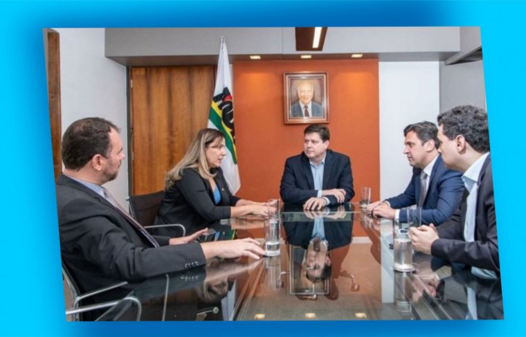  Deputada federal Dulce Miranda (MDB), o presidente Nacional do MDB, Baleia Rossi (SP) o líder da Sigla, na Câmara, Isnaldo Bulhões (AL), deputados, Moses Rodrigues (CE) e Walter Alves(RN). Foto: Reprodução / Efeitos: Cícera Maria